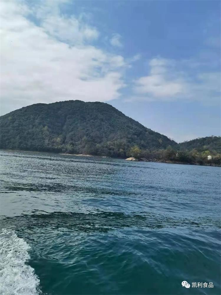 1659346102922340.jpg 102.jpg